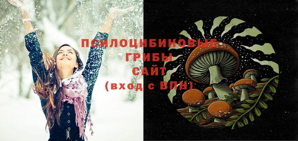 круглые Алексеевка
