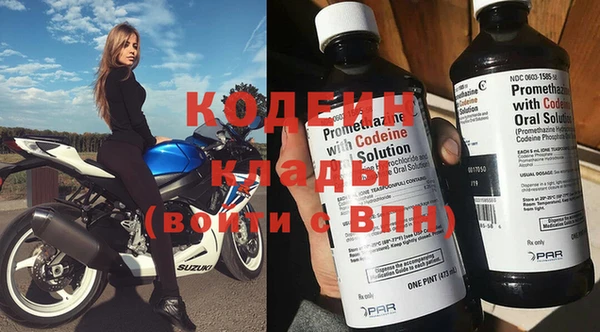прущий лед Алзамай