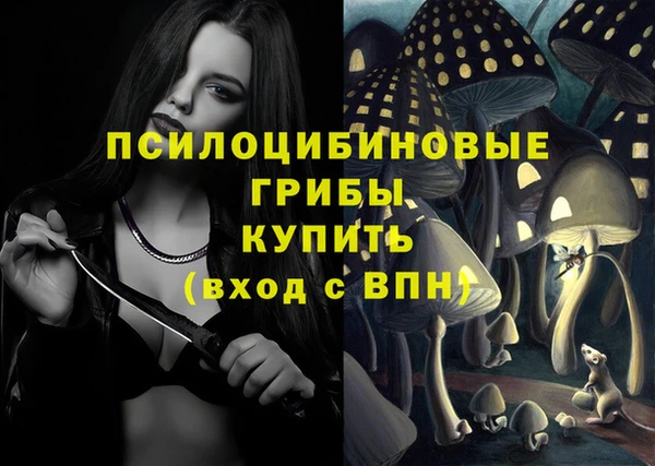 прущий лед Алзамай