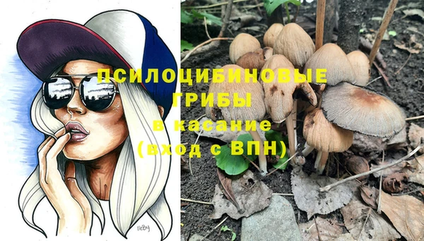 круглые Алексеевка