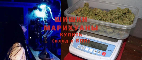 прущий лед Алзамай