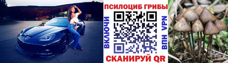 Псилоцибиновые грибы GOLDEN TEACHER  закладки  Анжеро-Судженск 